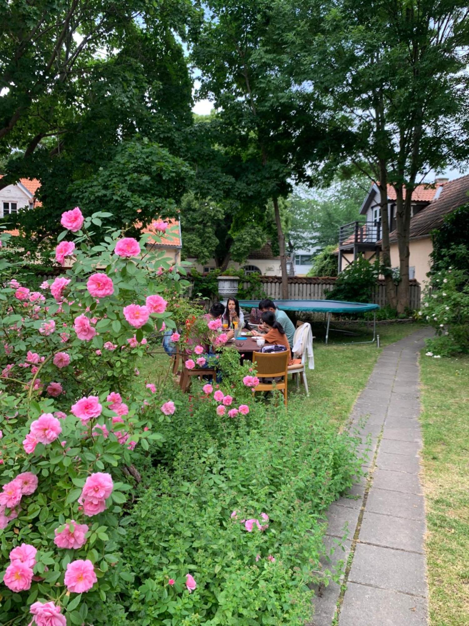 Suviste Guesthouse Kuressaare Bagian luar foto
